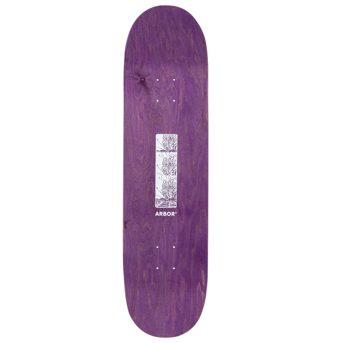Arbor Ace Pelka Anatomy Skateboard Deck - 8.50" - Image 2