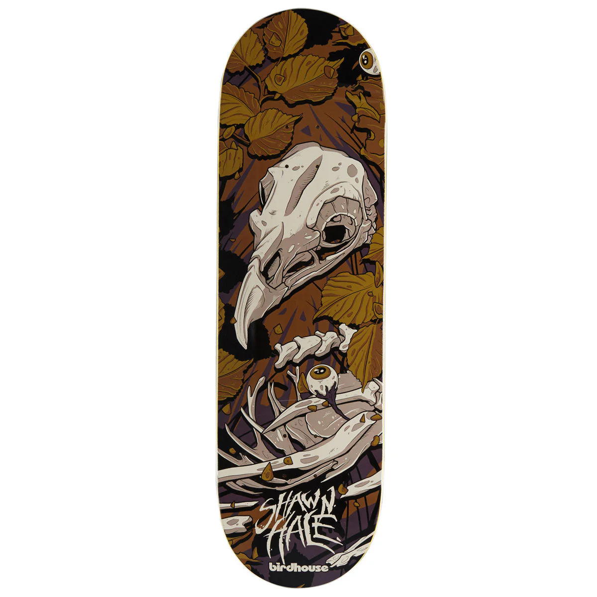 Birdhouse Shawn Hale Tillbrook Skateboard Deck - 9.00"