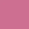 CCS Silver 97 Star Web Belt - Pink - Image 3