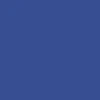 CCS Silver 97 Star Web Belt - Royal Blue - Image 3