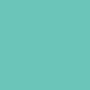 CCS Skateboard Tool - Mint - Image 4