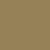 Etnies Icon E Belt - Gold - Image 2