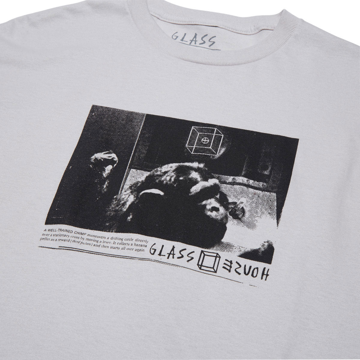 Glass House Hominid T-Shirt - Concrete - Image 2