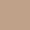 Independent Span Elastic Waist Shorts - Khaki - Image 5