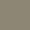 IPath Cats Shoes - Tan Suede - Image 5