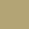 RVCA Exlite Belt - Ochre - Image 2