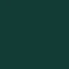 Shake Junt Stretch Logo Beanie - Green - Image 2