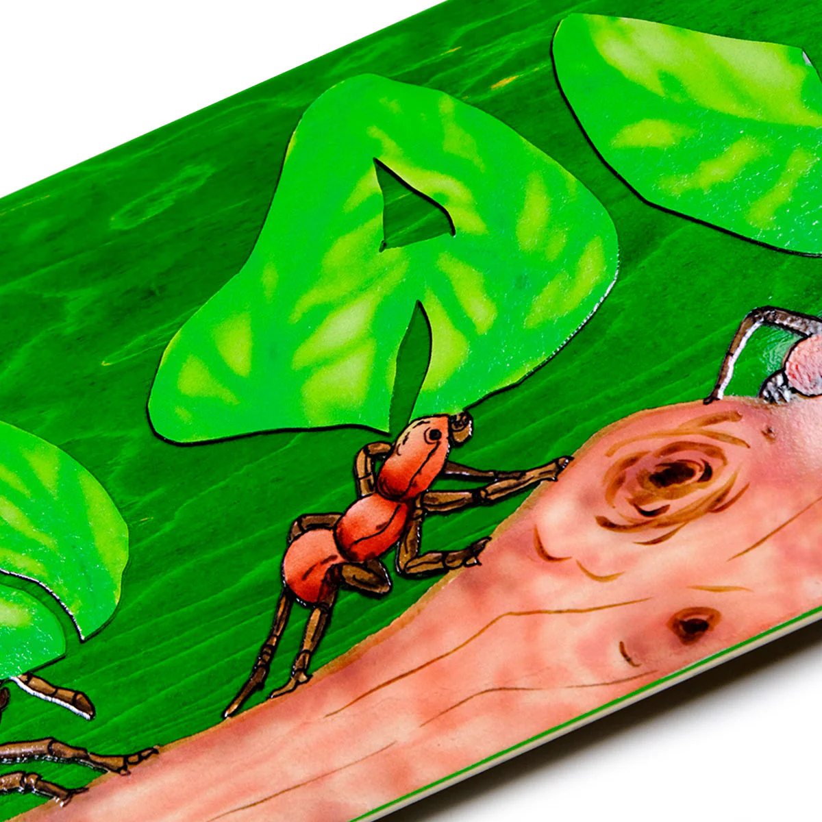 Snack Leafcutter Skateboard Complete - 8.50" - Image 4